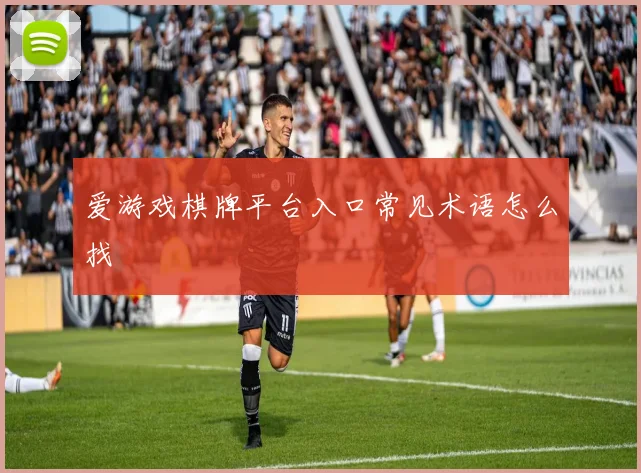 爱游戏棋牌平台入口常见术语怎么找