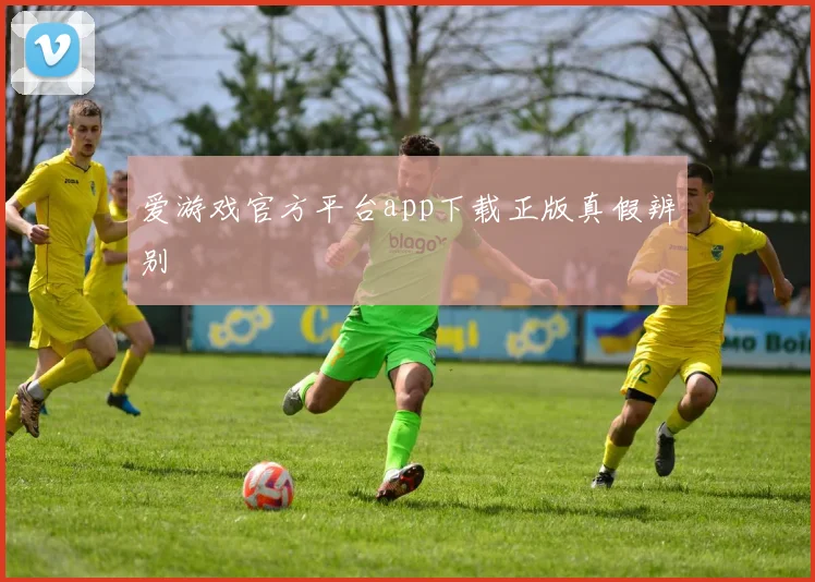 爱游戏官方平台app下载正版真假辨别