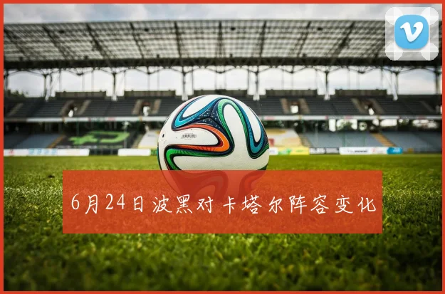 6月24日波黑对卡塔尔阵容变化