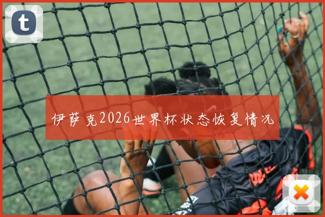 伊萨克2026世界杯状态恢复情况