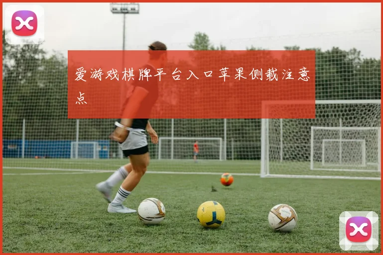 爱游戏棋牌平台入口苹果侧载注意点